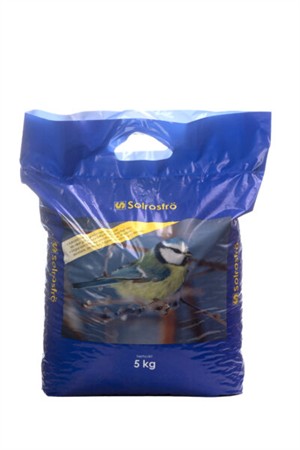 Solrosfrö 5 kg